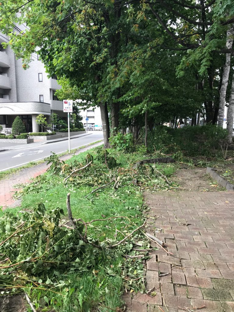 2018.9.7ミニ大通13丁目風景